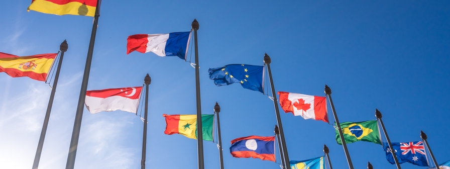 UN Development Goals